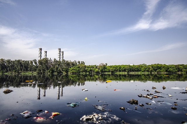 sewage sludge