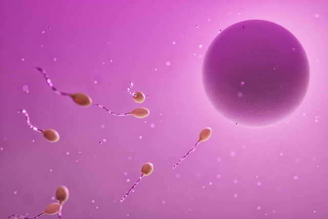Hình ảnh minh họa ý nghĩa của từ sexual reproduction