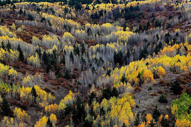 Hình ảnh minh họa ý nghĩa của từ shaky relationship