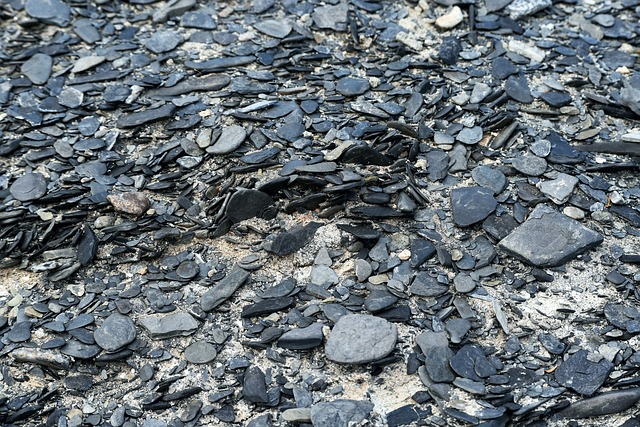 Hình ảnh minh họa ý nghĩa của từ shale