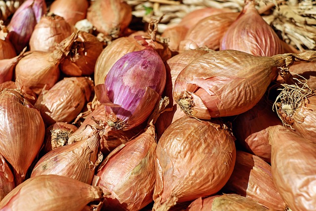Hình ảnh minh họa ý nghĩa của từ shallot