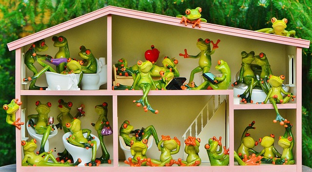 shared housing