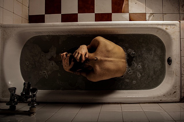 Hình ảnh minh họa ý nghĩa của từ shareholder