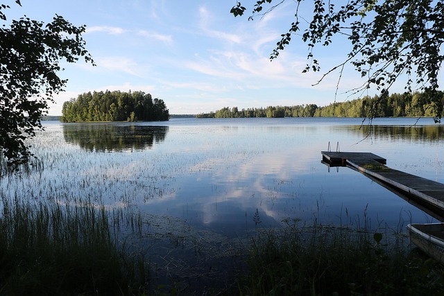 Hình ảnh minh họa ý nghĩa của từ shin