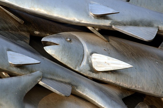 Hình ảnh minh họa ý nghĩa của từ shiny