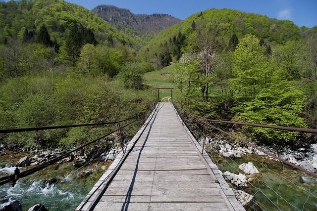 Hình ảnh minh họa ý nghĩa của từ shortening