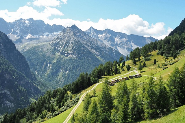 Hình ảnh minh họa ý nghĩa của từ shoving