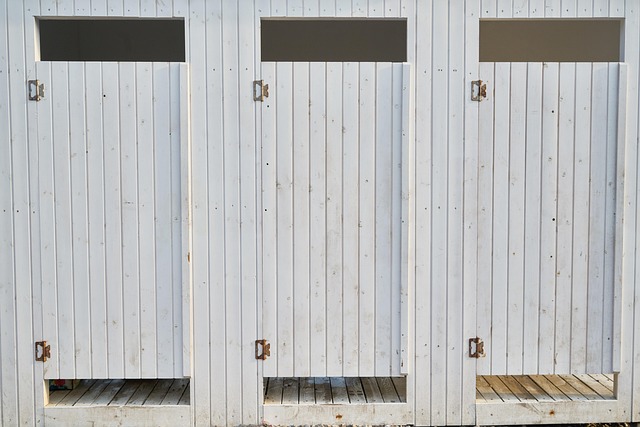 shower door