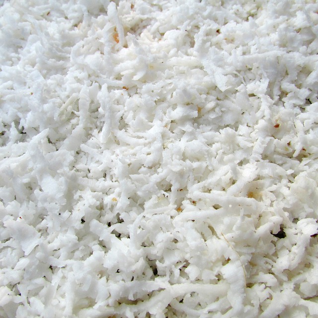 Hình ảnh minh họa ý nghĩa của từ shredded coconut