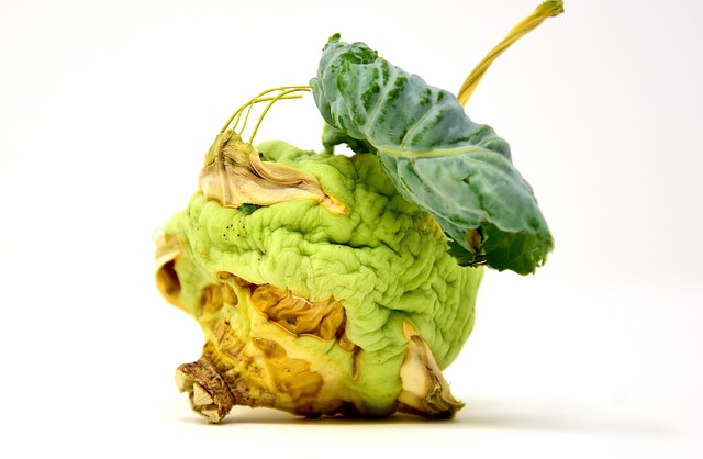 Hình ảnh minh họa ý nghĩa của từ shrunk