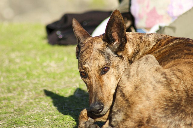 Hình ảnh minh họa ý nghĩa của từ shrunken