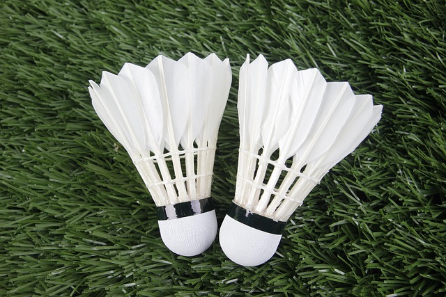 Hình ảnh minh họa ý nghĩa của từ shuttlecock