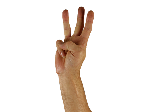 sign language