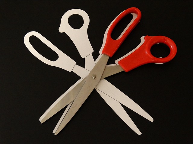 silhouette cutting