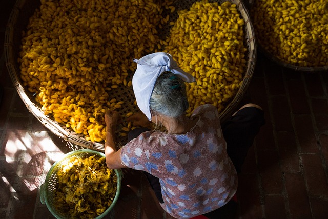 silk production
