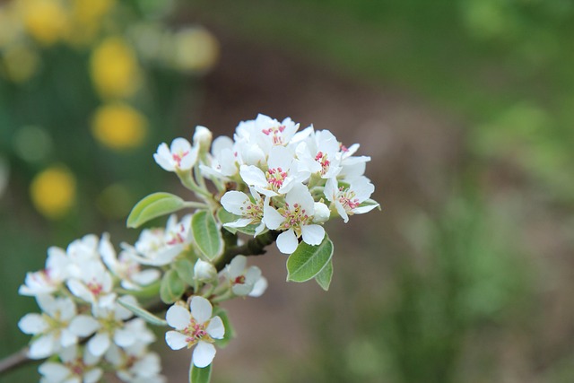 Hình ảnh minh họa ý nghĩa của từ sinfulness