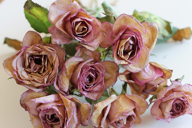 Hình ảnh minh họa ý nghĩa của từ ska