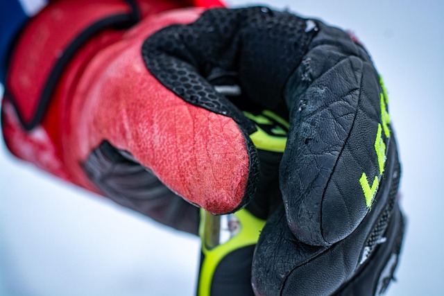 ski gloves