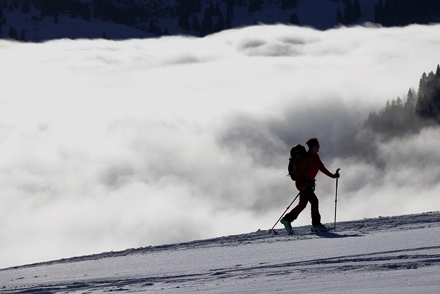 ski poles