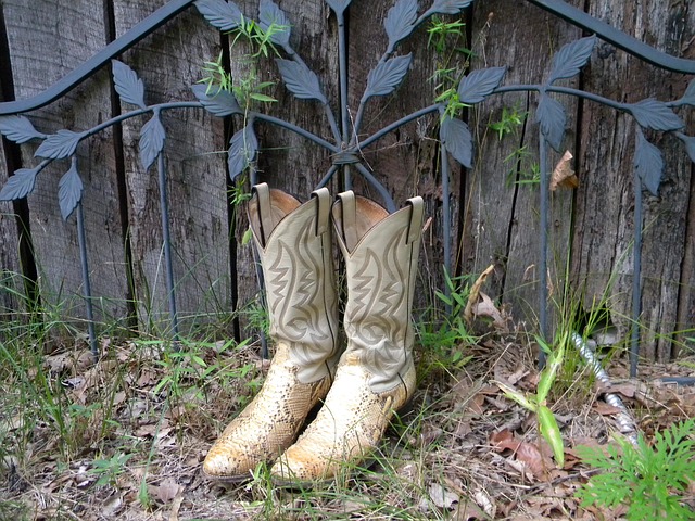 skin shoes