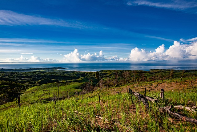 Hình ảnh minh họa ý nghĩa của từ slash