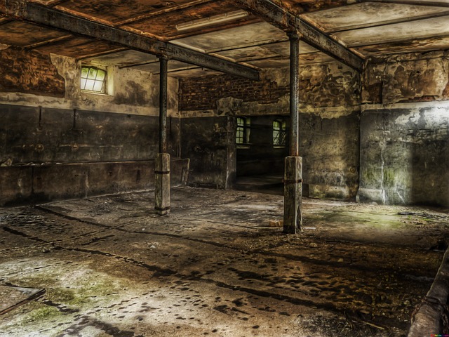 Hình ảnh minh họa ý nghĩa của từ slaughterhouse