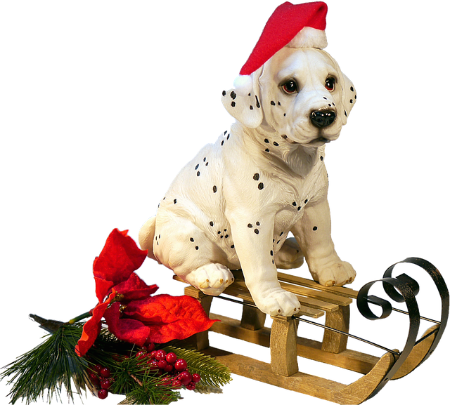 Hình ảnh minh họa ý nghĩa của từ sledge