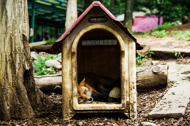 Hình ảnh minh họa ý nghĩa của từ sleep deprivation