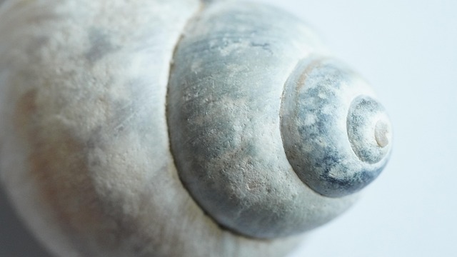 Hình ảnh minh họa ý nghĩa của từ sleeve