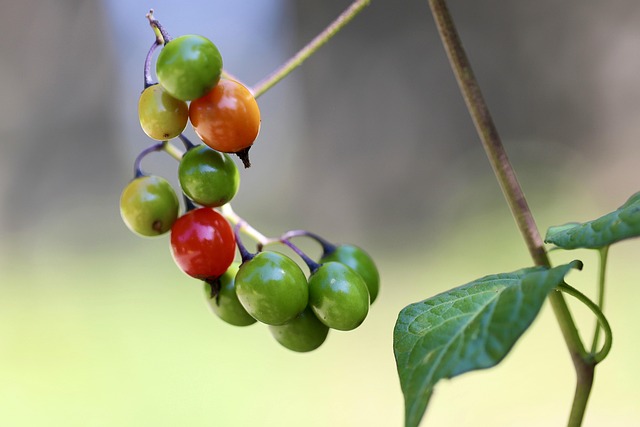 Hình ảnh minh họa ý nghĩa của từ slightly