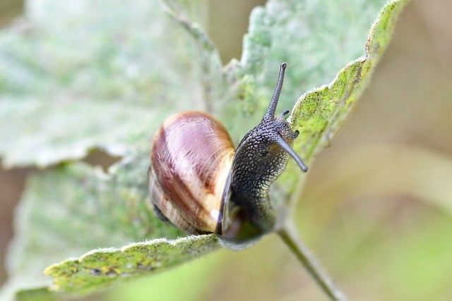 Hình ảnh minh họa ý nghĩa của từ slowdown