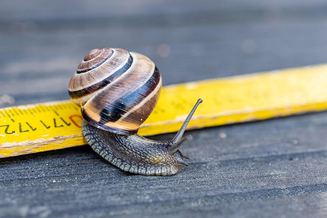 slowing measures
