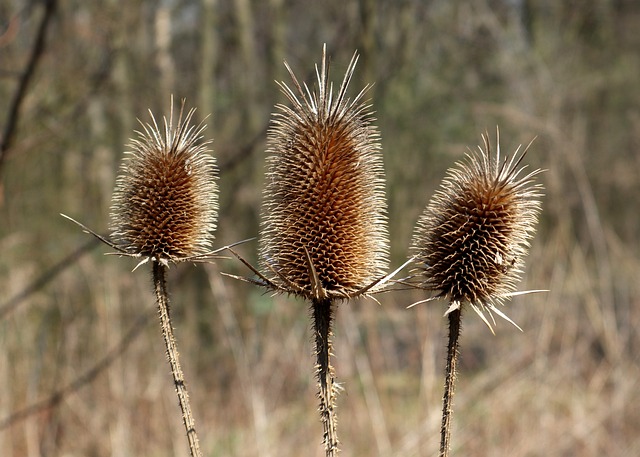 Hình ảnh minh họa ý nghĩa của từ slut