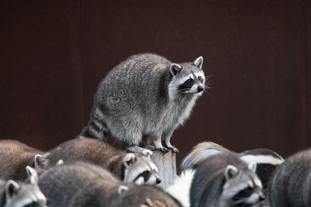 small gathering