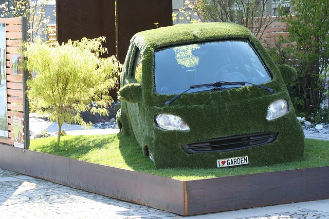 Hình ảnh minh họa ý nghĩa của từ smart growth