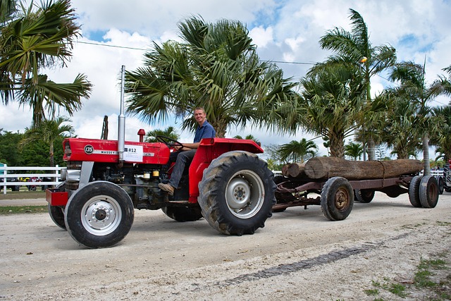 Hình ảnh minh họa ý nghĩa của từ smugness