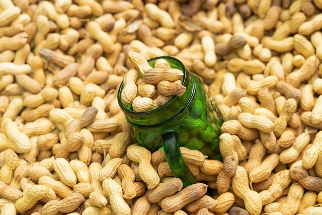 Hình ảnh minh họa ý nghĩa của từ snack bar