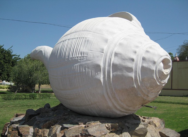 Hình minh họa caracol