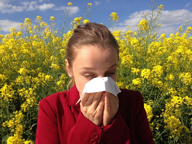 Hình ảnh minh họa ý nghĩa của từ sneezing