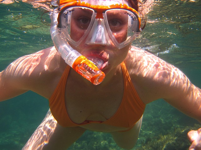 Hình ảnh minh họa ý nghĩa của từ snorkel