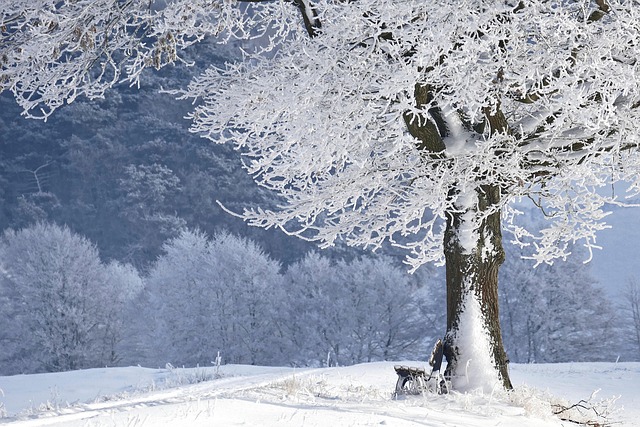 snow bank