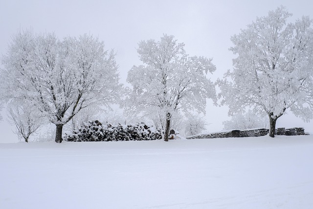 snow pile