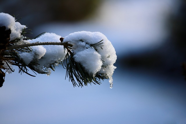 snow thaw