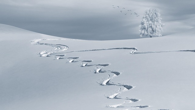 snow white