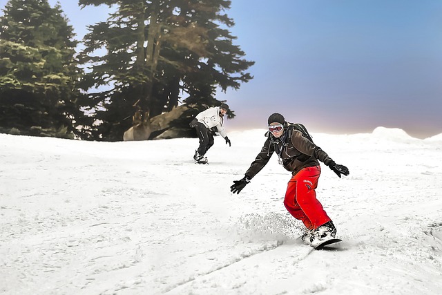 snowboard boots