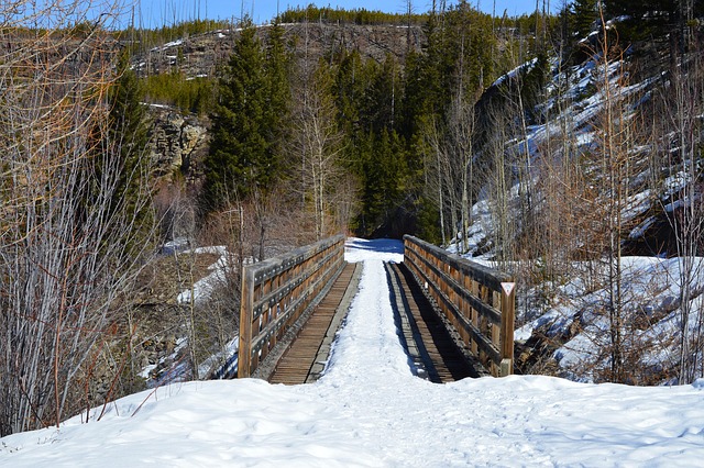 Hình ảnh minh họa ý nghĩa của từ snowline