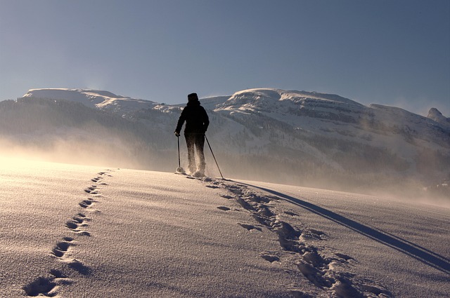 snowshoes
