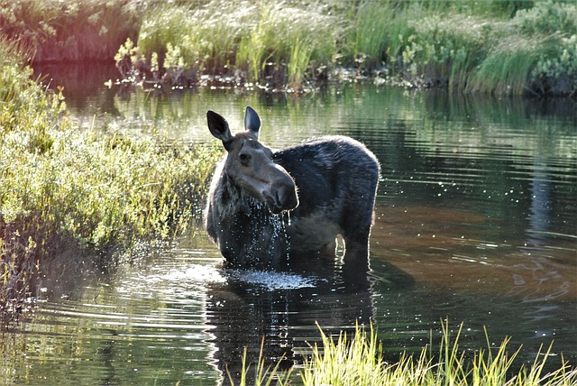 Hình ảnh minh họa ý nghĩa của từ soaking