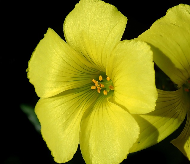 Hình ảnh minh họa ý nghĩa của từ sobbing