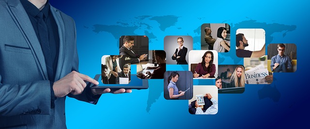 social organization
